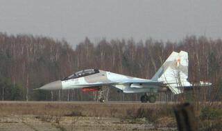 阿尔及利亚足球明星 阿尔及利亚足球明星